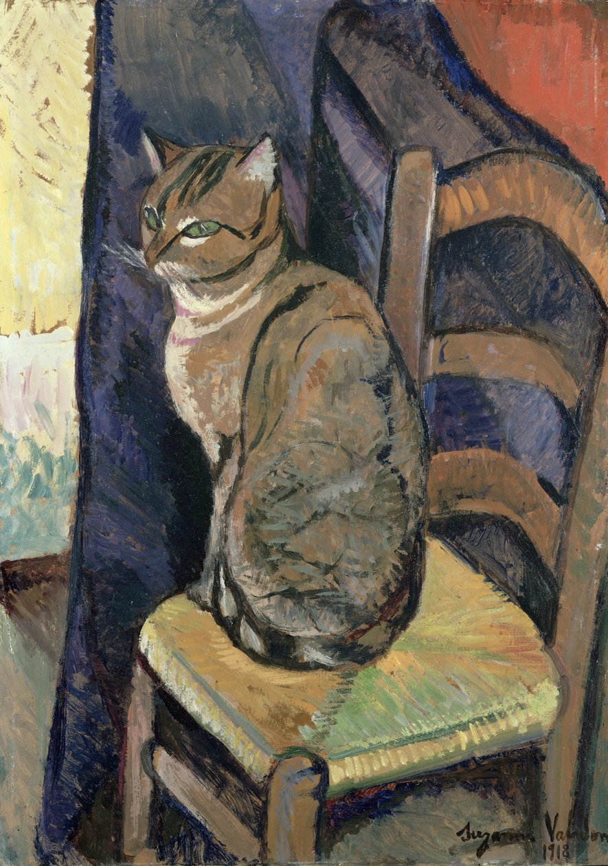 Studie o kočce, 1918 od Marie Clementine (Suzanne) Valadon