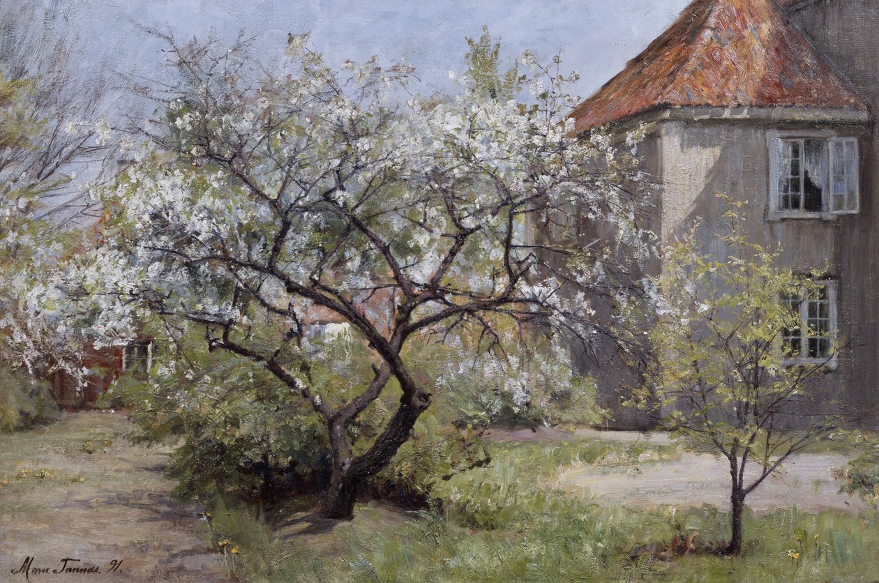 Z Vøienvolden, Sagene (Oslo) od Marie Tannæs