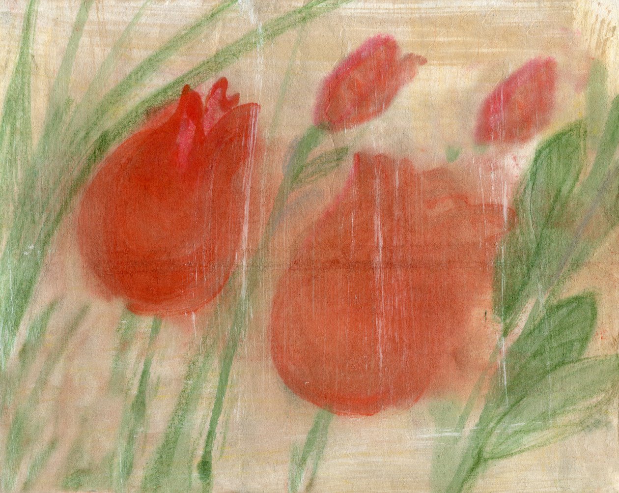 Červené tulipány od Marina Falco