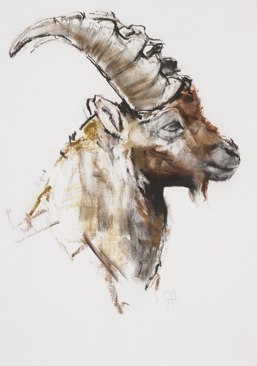 Mladý muž, 2005 (charcoal und conte na papíře) od Mark Adlington