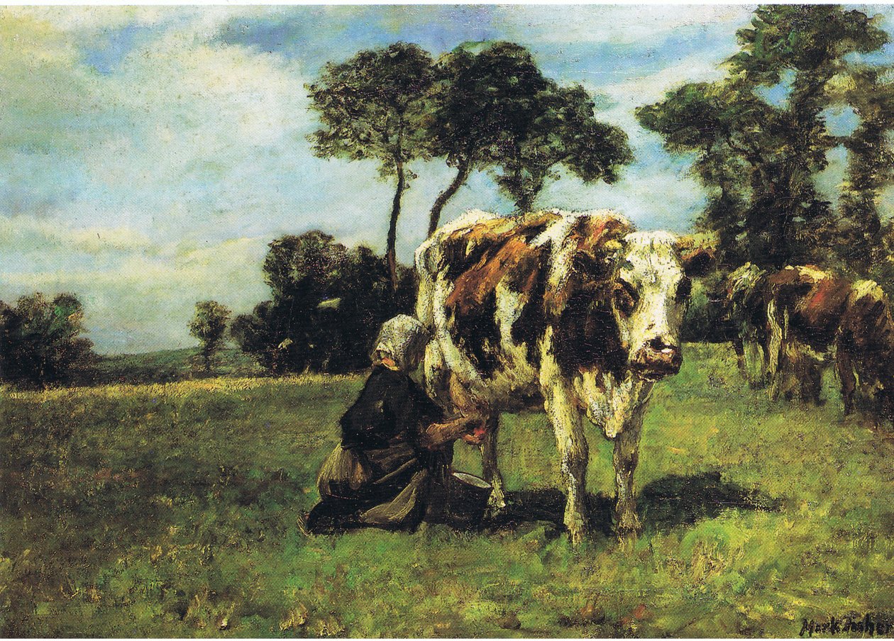 Dojička od Mark Fisher