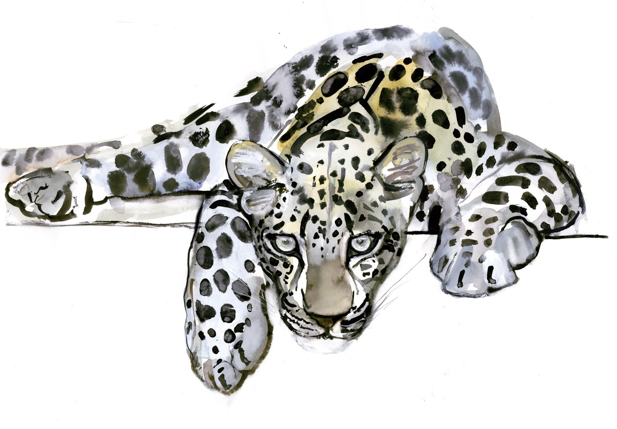Arabský leopard, 2008 od Mark Adlington
