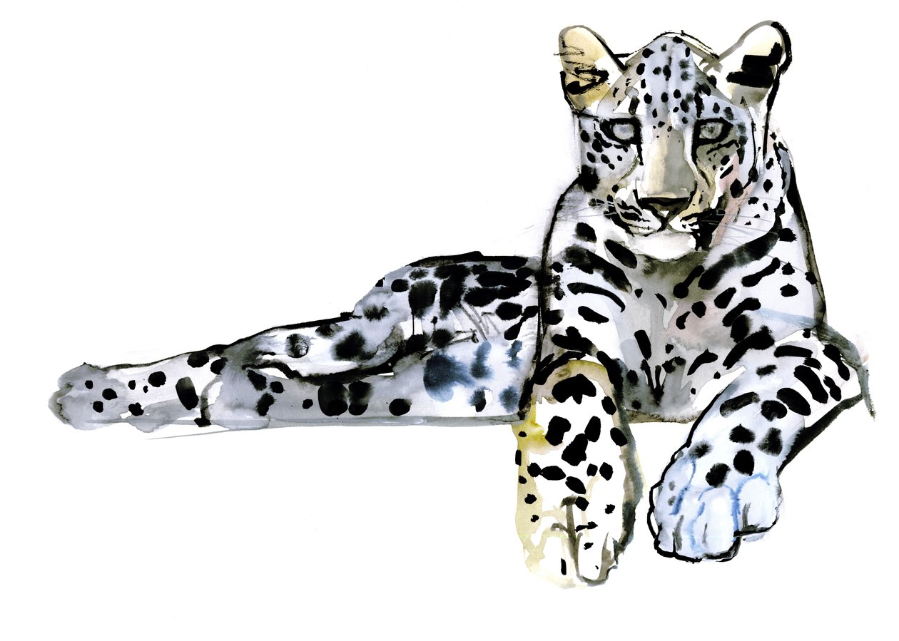 Arabský leopard, 2008 od Mark Adlington