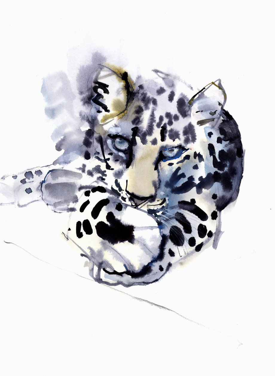 Arabský leopard, 2008 od Mark Adlington