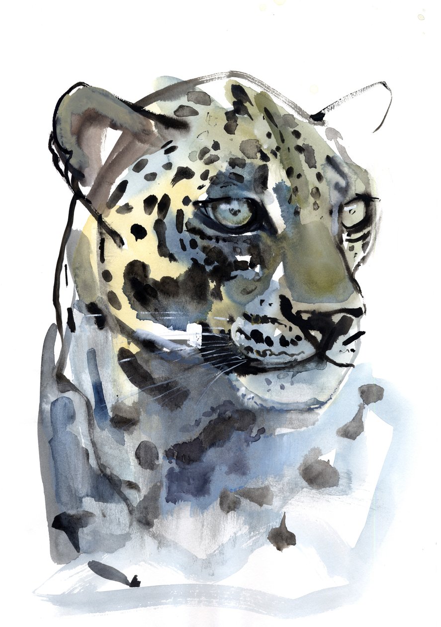 Arabský leopard, 2008 od Mark Adlington