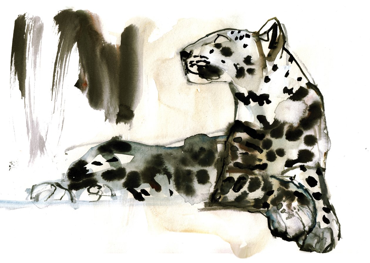 Arabský leopard, 2008 od Mark Adlington