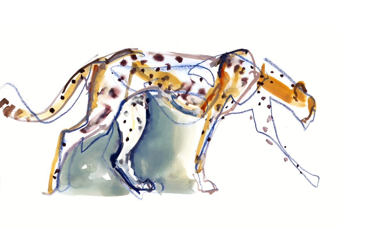 Gepard, 2022 od Mark Adlington
