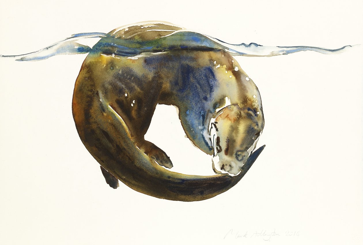 Kruh života, 2014, (akvarel na papíře) od Mark Adlington