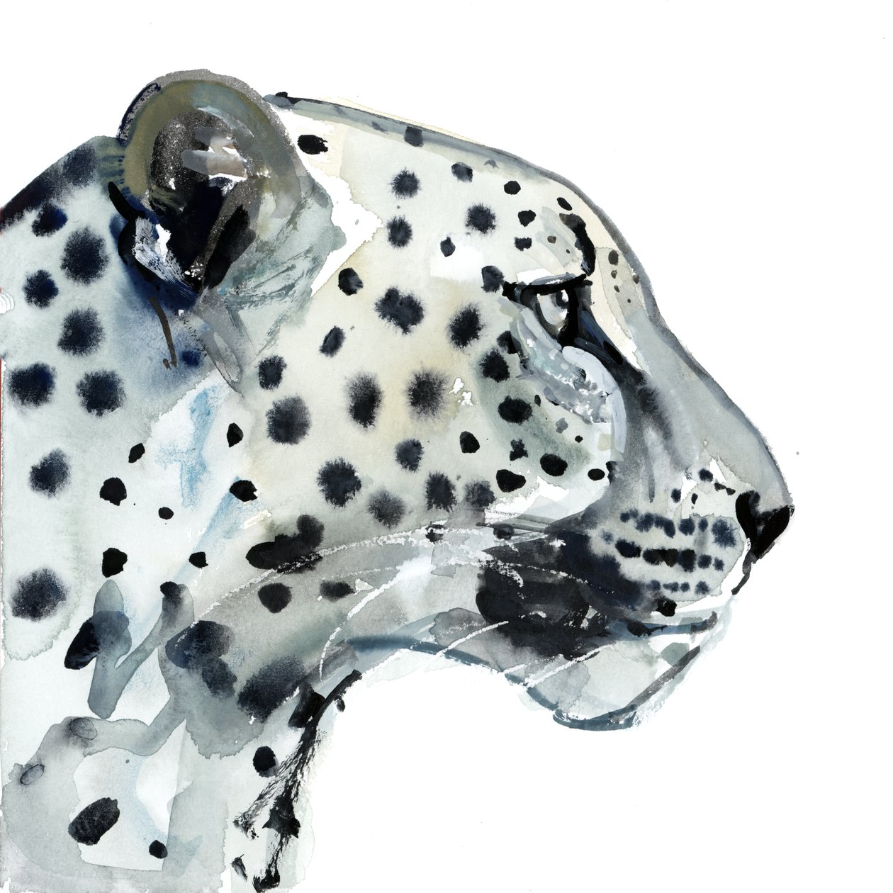 Focus, 2015, (akvarel na papíře) od Mark Adlington