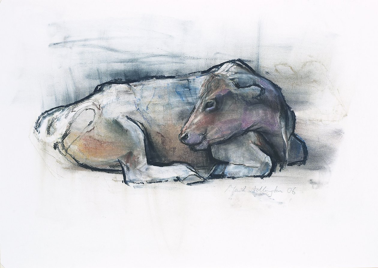 Galloway, 2006 (charcoal and conte na papíře) od Mark Adlington