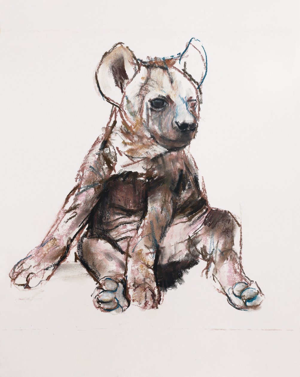 Hyaena Pup (vsedě), 2019 od Mark Adlington