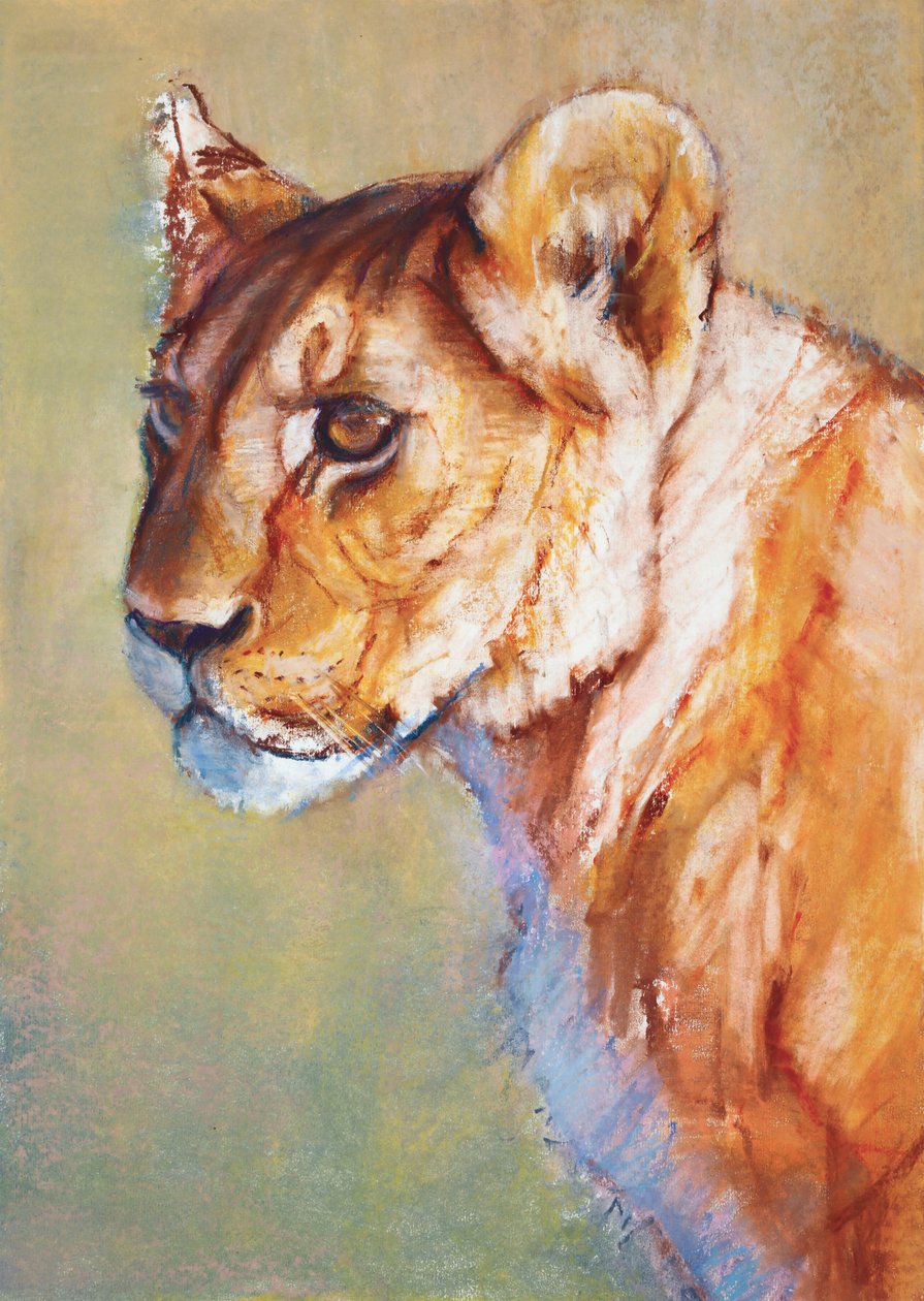 Rozhledna, 2019 od Mark Adlington