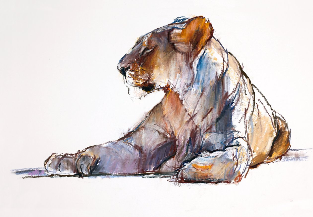 Ráno, 2019 od Mark Adlington
