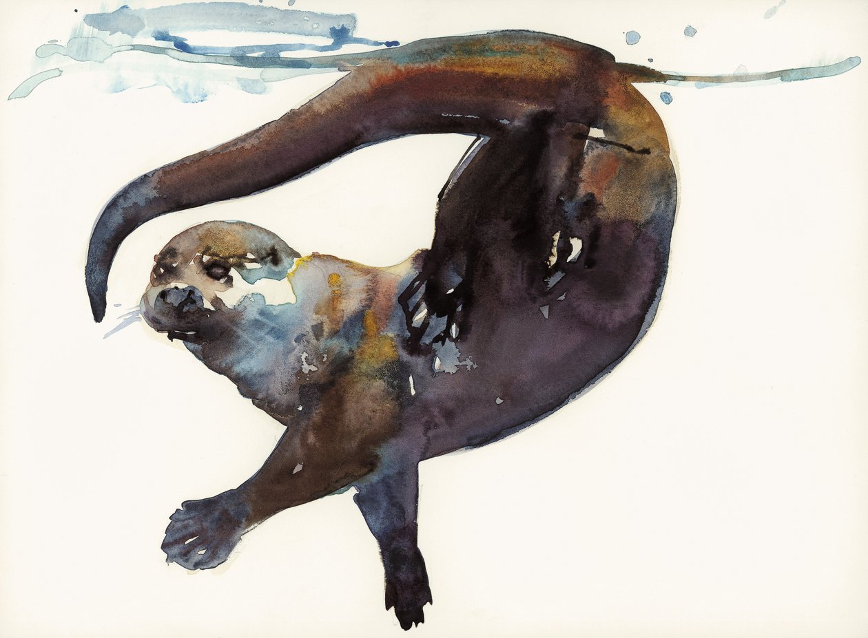Otter Study II - "Talisker" od Mark Adlington