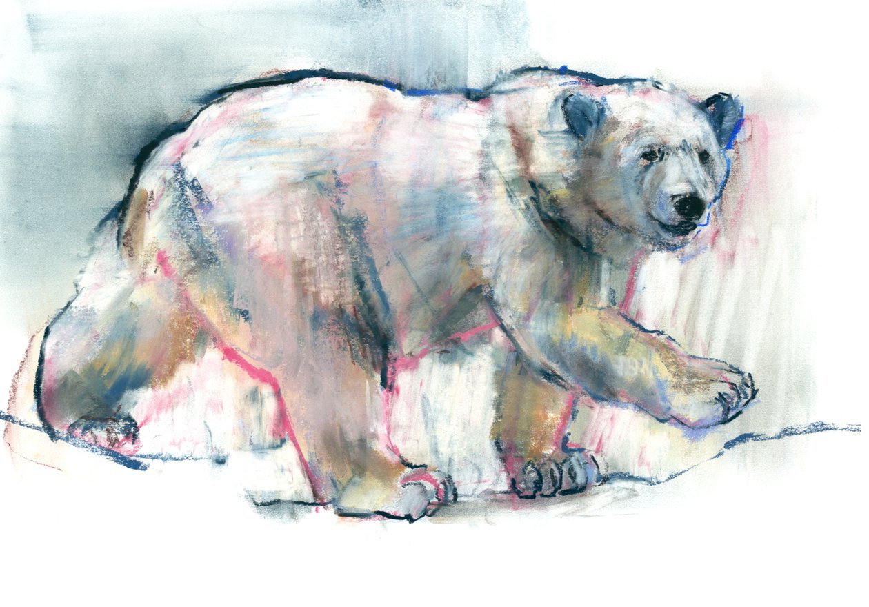 Růžová, 2016, (kontura a pastel na papíře) od Mark Adlington