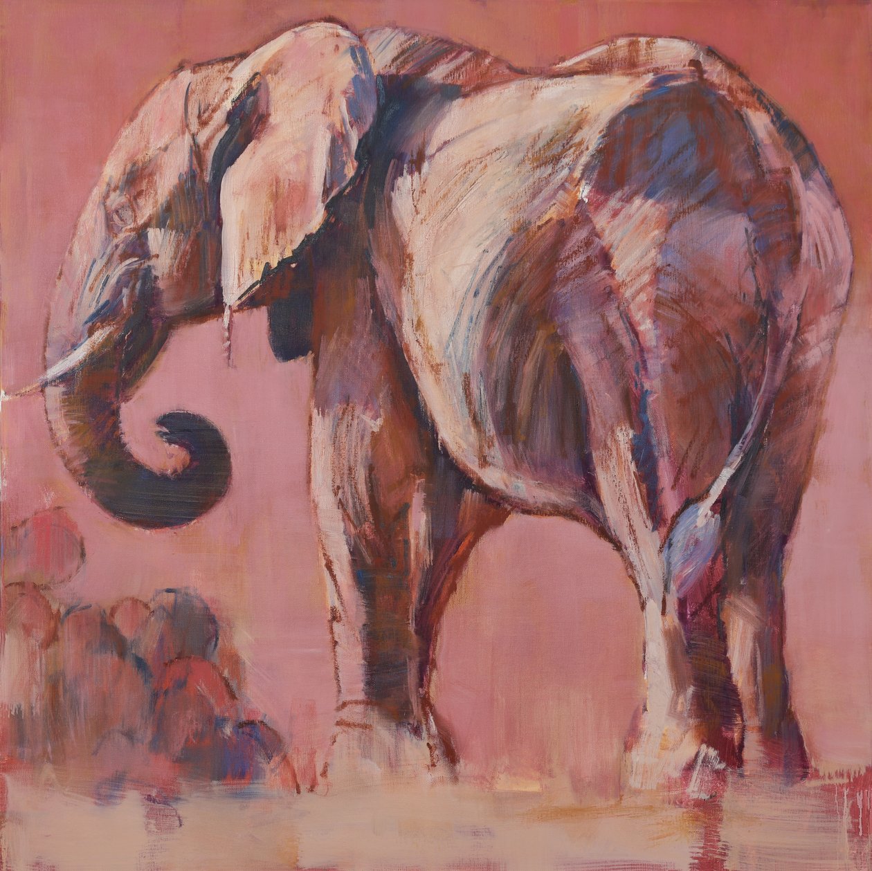 Růžová, 2018 od Mark Adlington