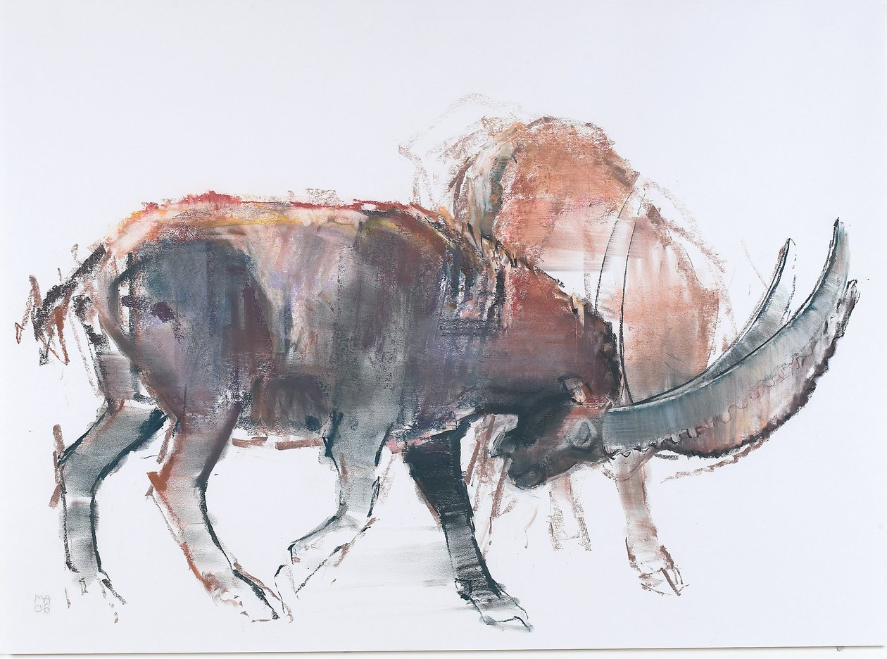 Scimitar, 2006 (charcoal and conte na papíře) od Mark Adlington