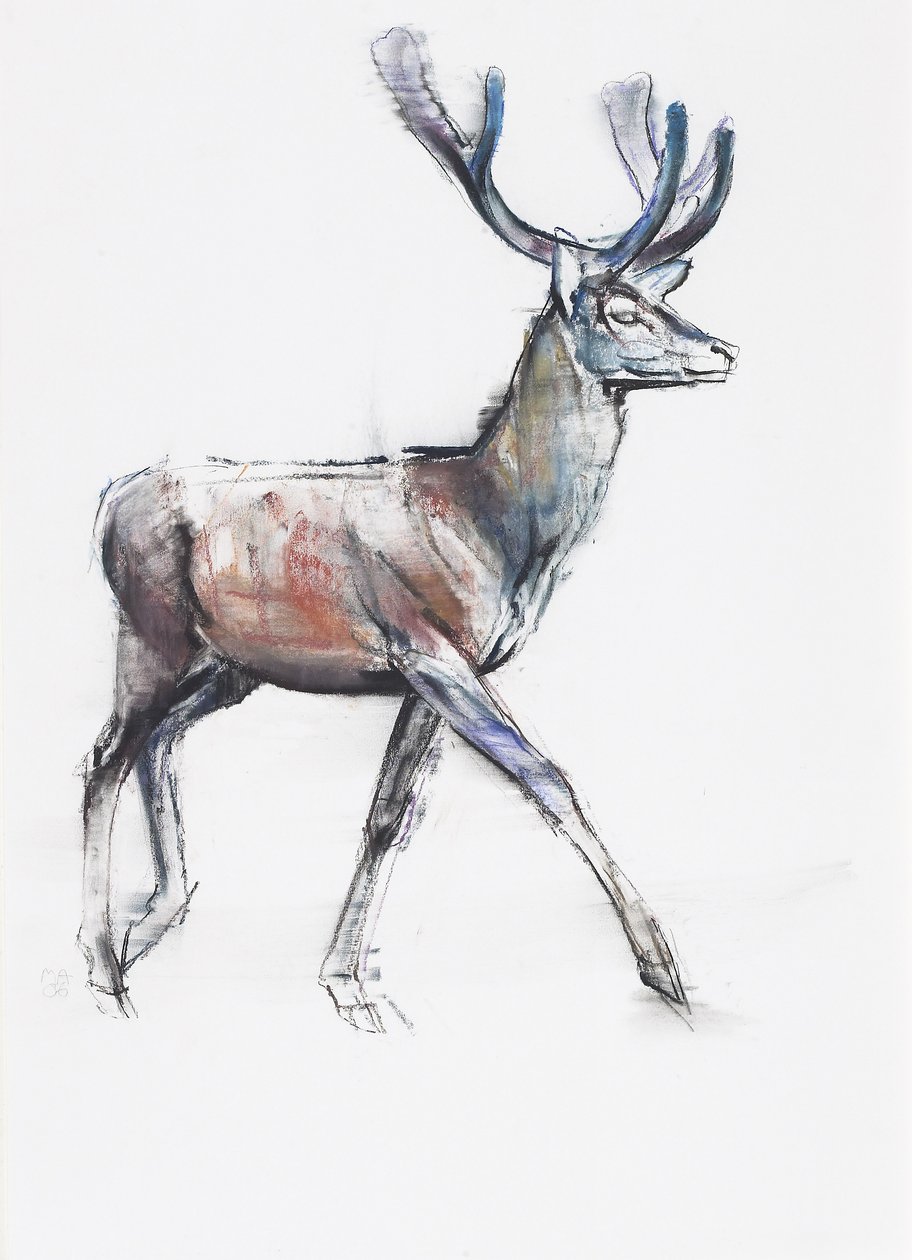 Velvet, 2006 (charcoal and conte na papíře) od Mark Adlington