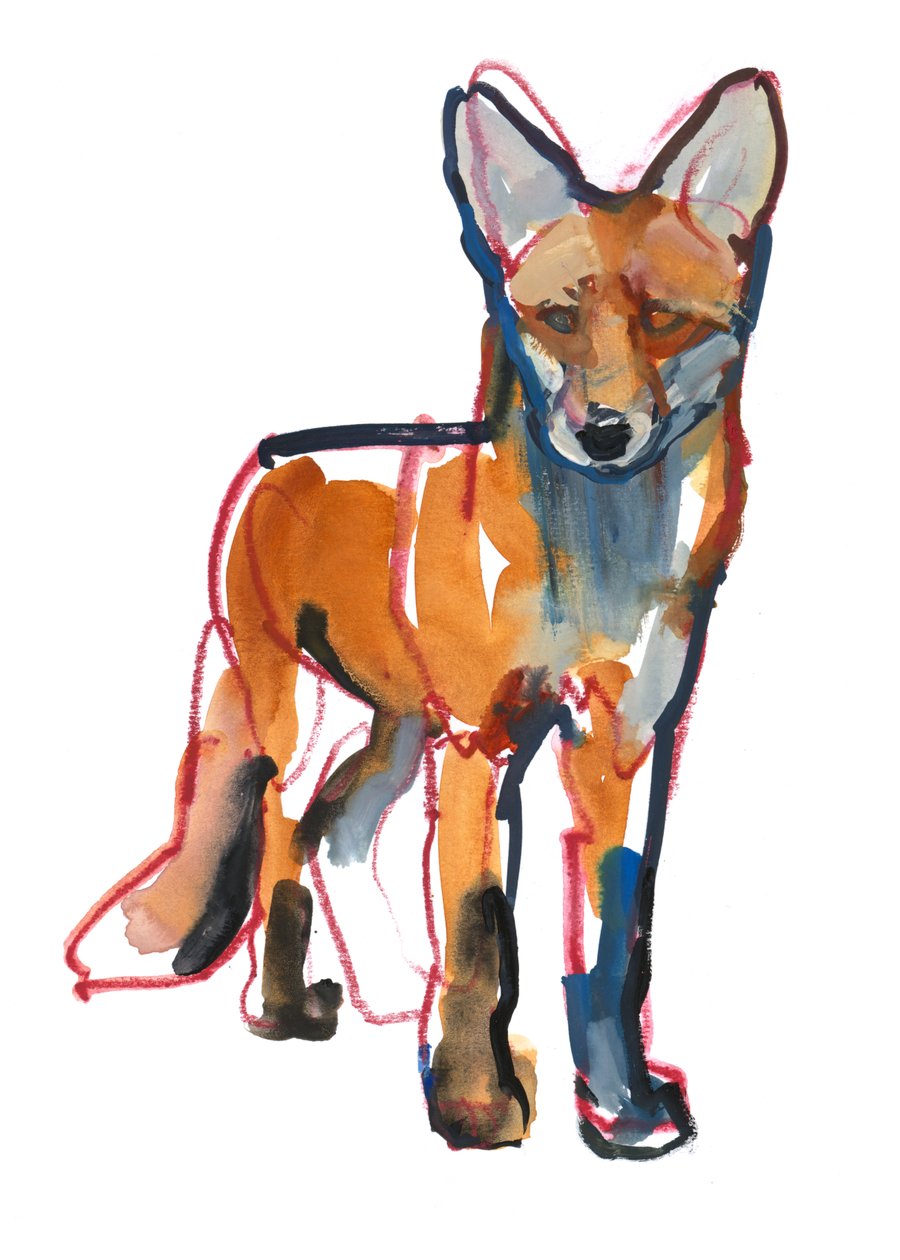 Young Fox, 2021 od Mark Adlington