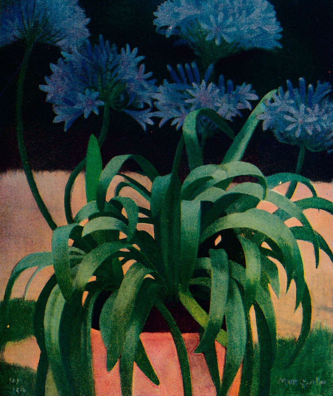 Agapanthus, 1914, c1932 od Mark Gertler