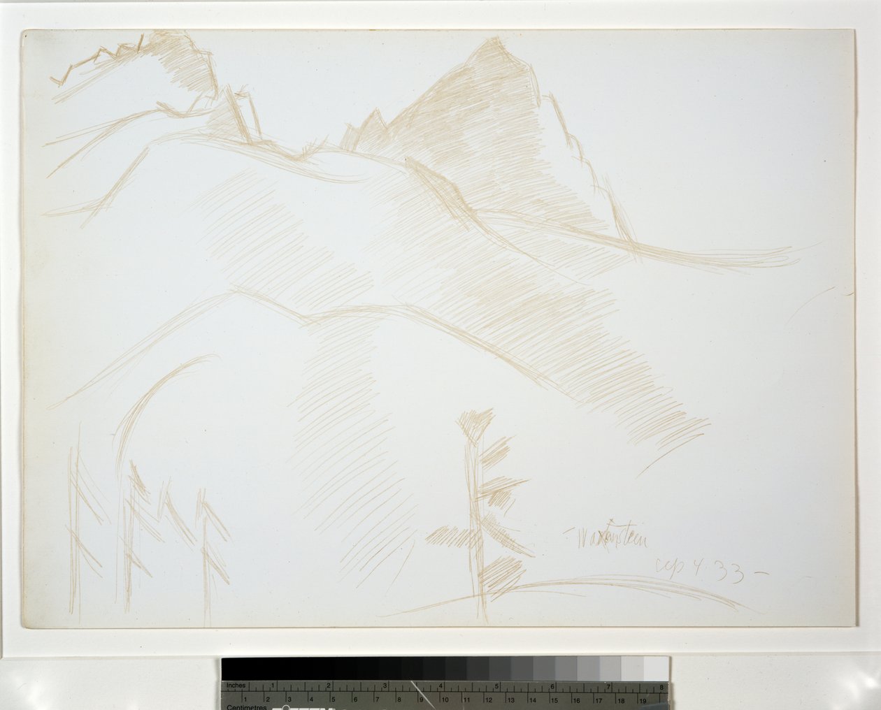 Horská krajina s borovicemi od Marsden Hartley
