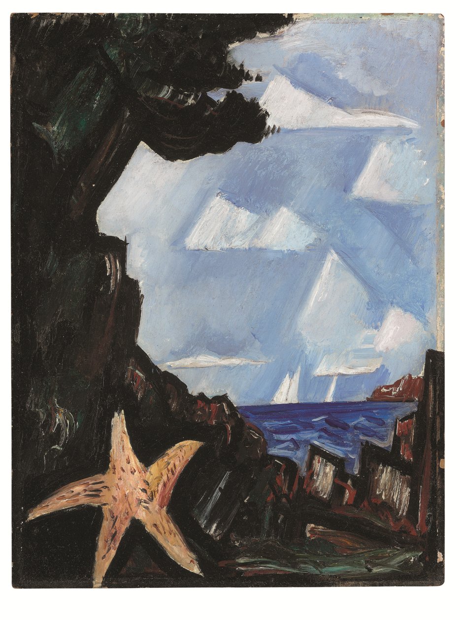 Sea View - Starfish, Uusi Englanti od Marsden Hartley