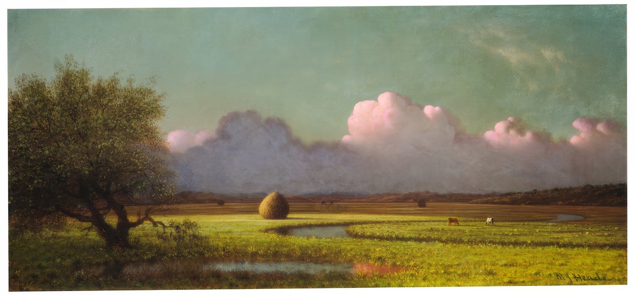 Sunlight and Shadow: The Newbury Marshes od Martin Johnson Heade