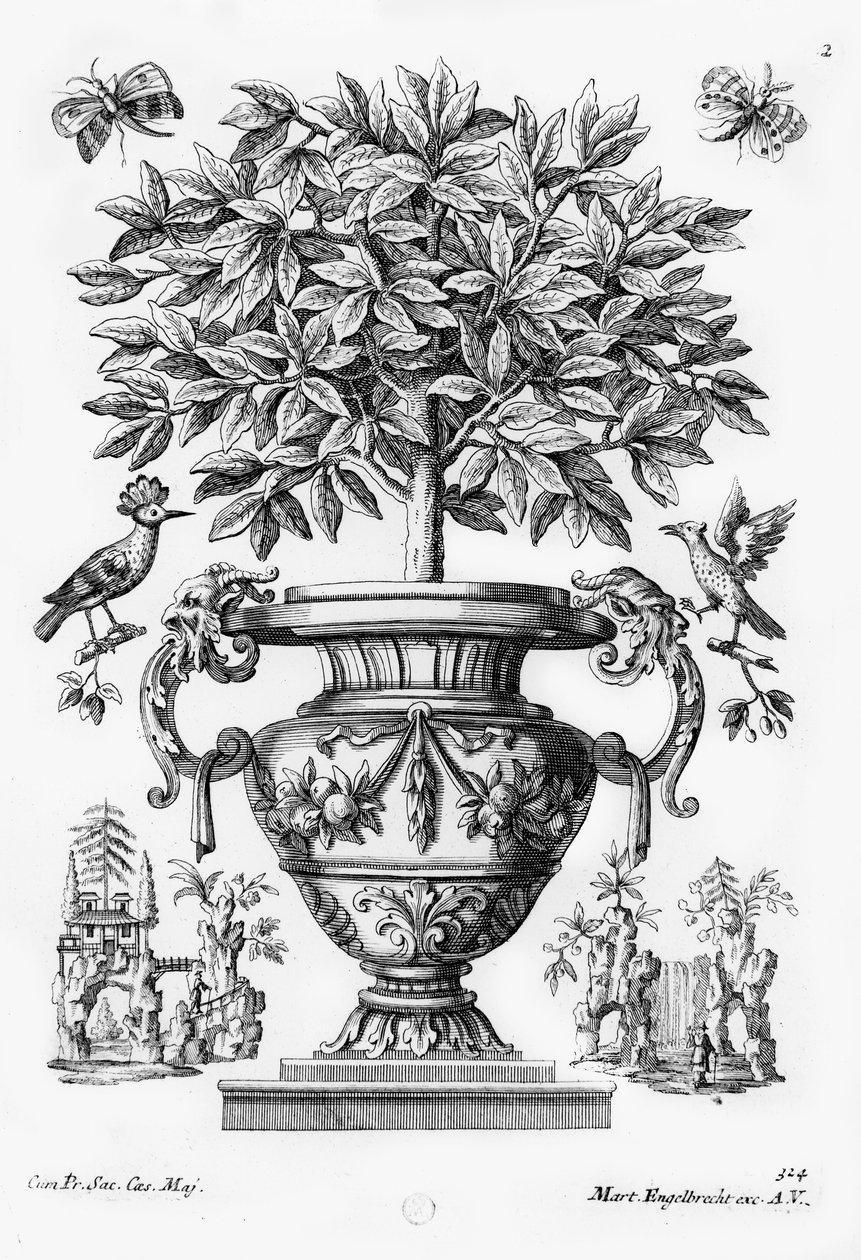 Citrusové stromy, kolem 1735 od Martin Engelbrecht