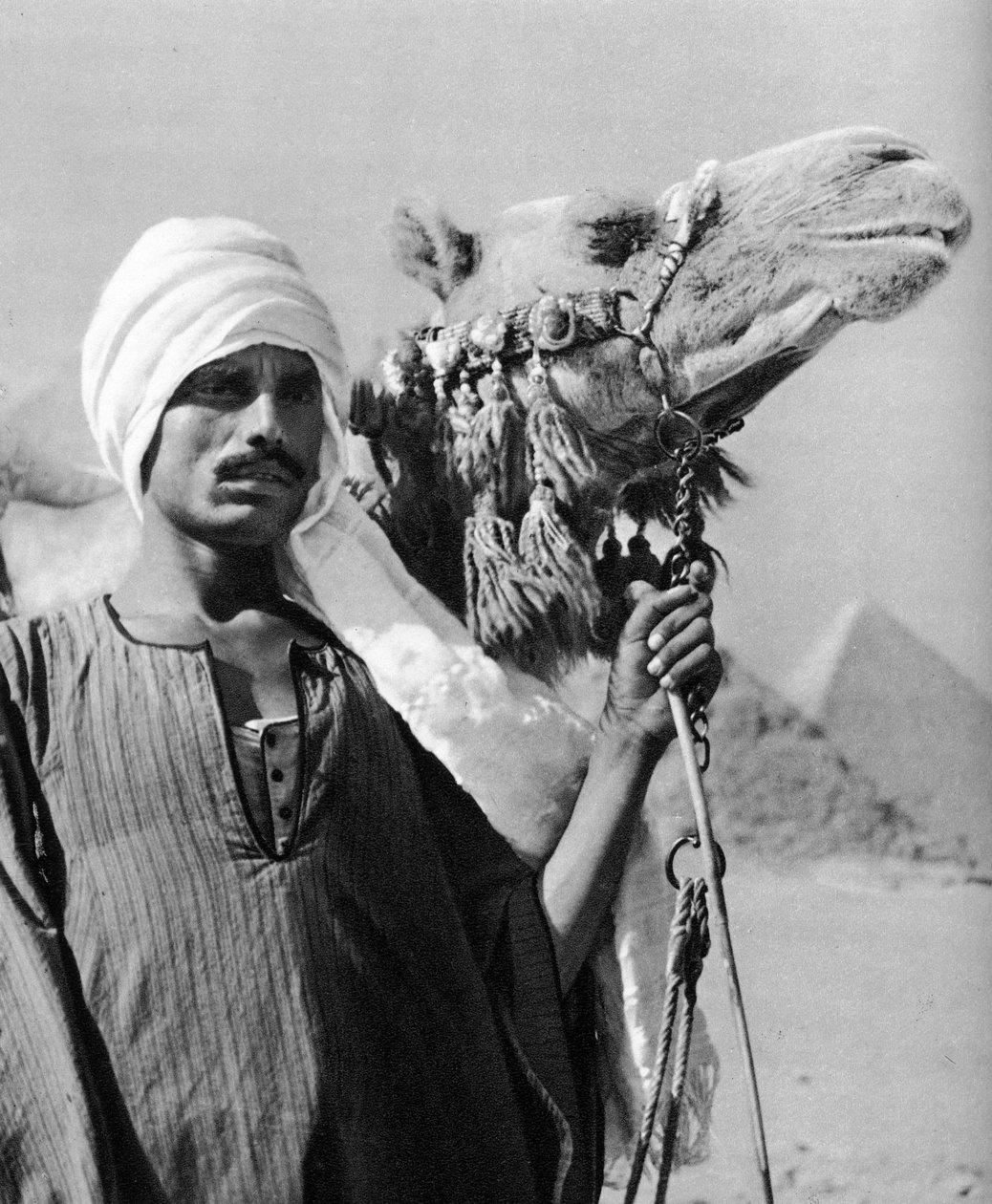 Cameldriver u pyramid, Egypt, 1937 od Martin Hurlimann