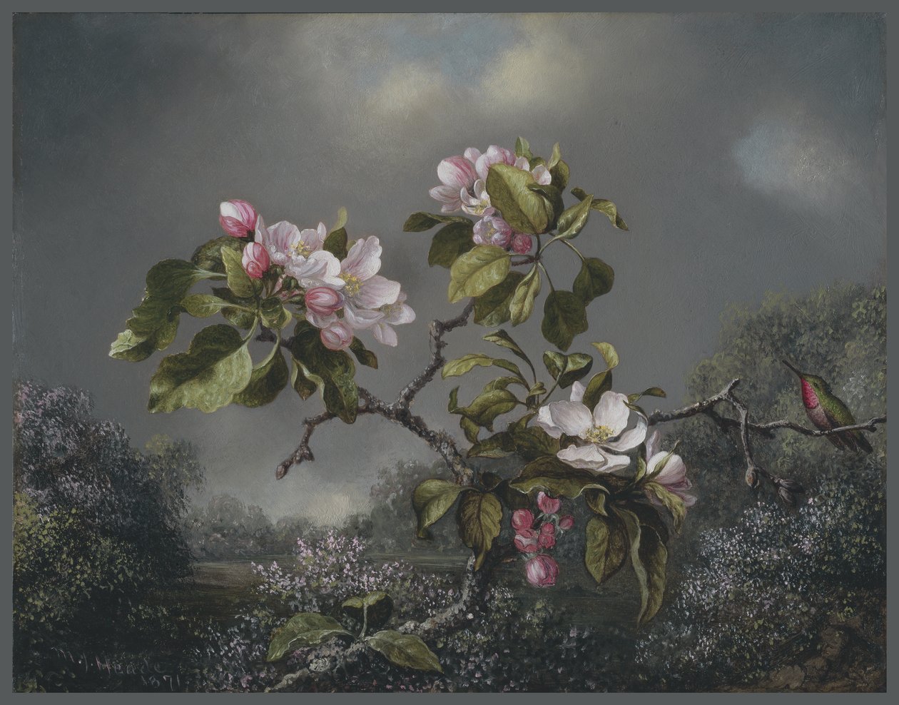Apple Blossoms and Hummingbird, 1871 od Martin Johnson Heade