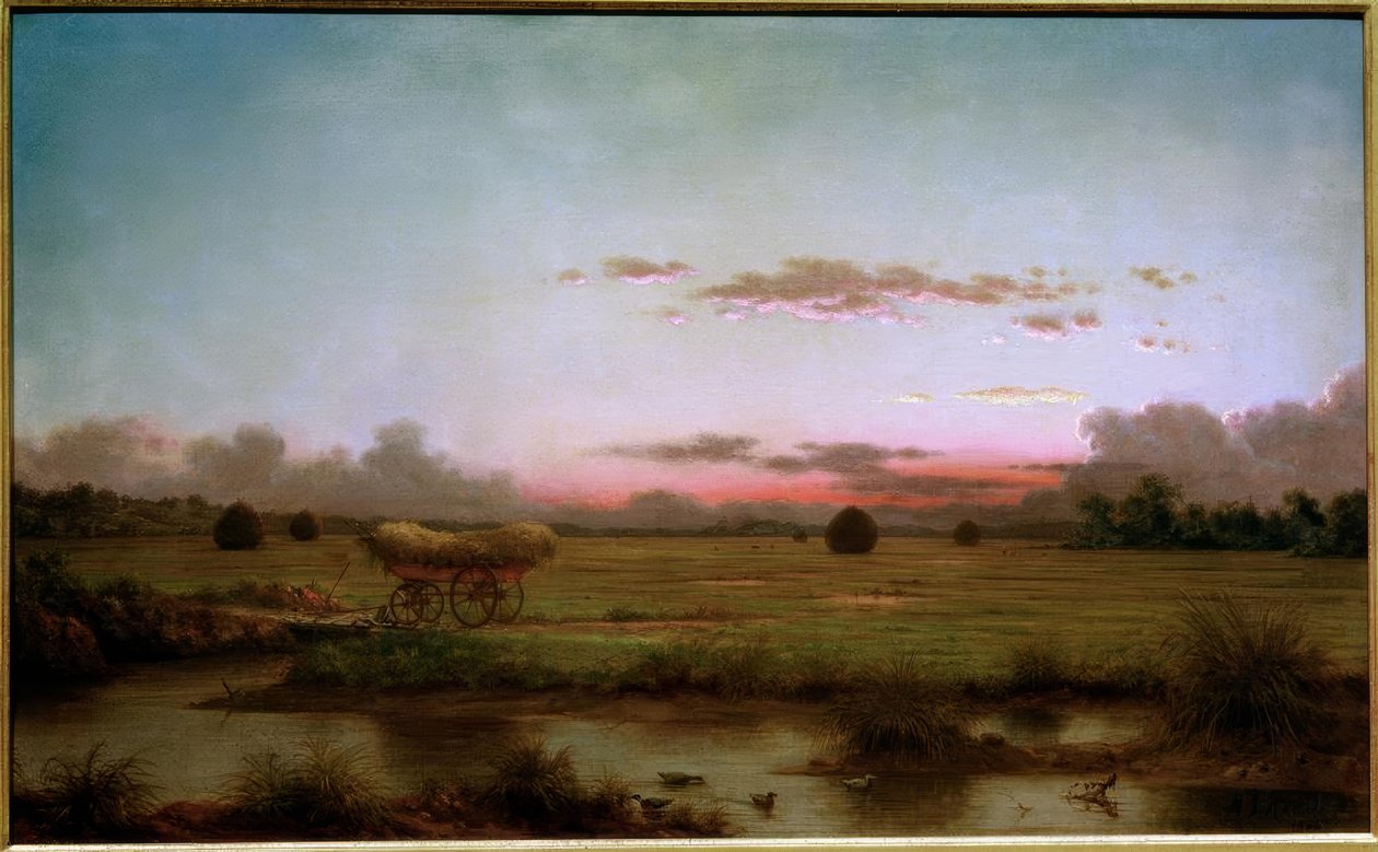 Bažiny na Rhode Island od Martin Johnson Heade