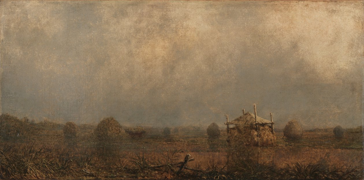 Příliv na močálech, 1872. od Martin Johnson Heade