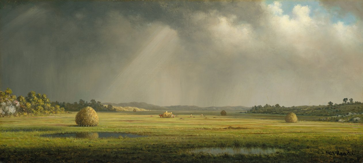 Newburyport Meadows, ca. 1876-81. od Martin Johnson Heade