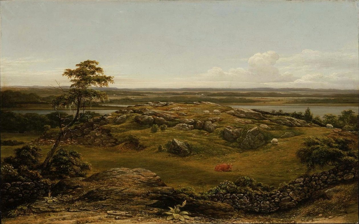 Skály v Nové Anglii od Martin Johnson Heade