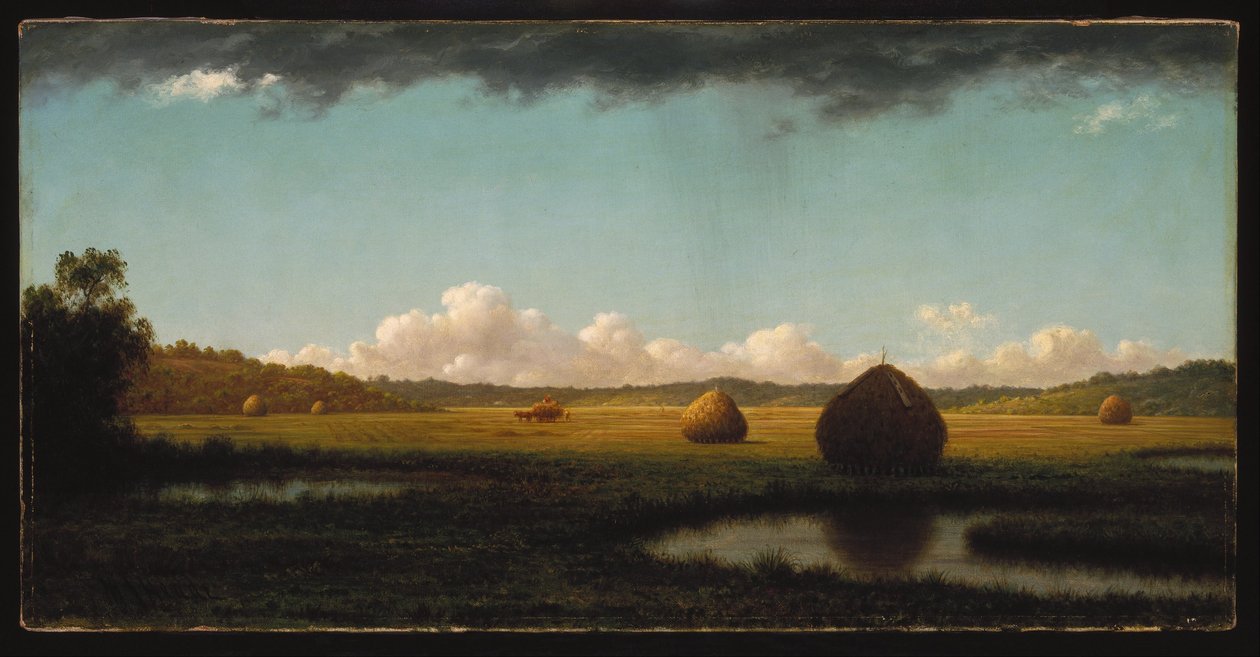 Letní přeháňky od Martin Johnson Heade