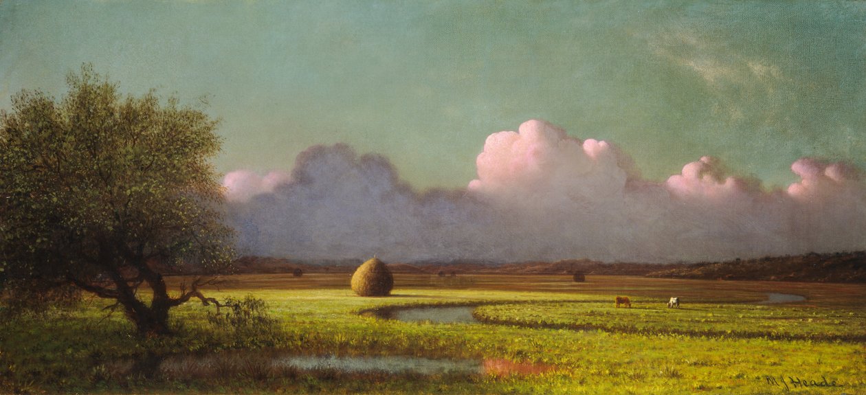 Sunlight and Shadow: The Newbury Marshes od Martin Johnson Heade