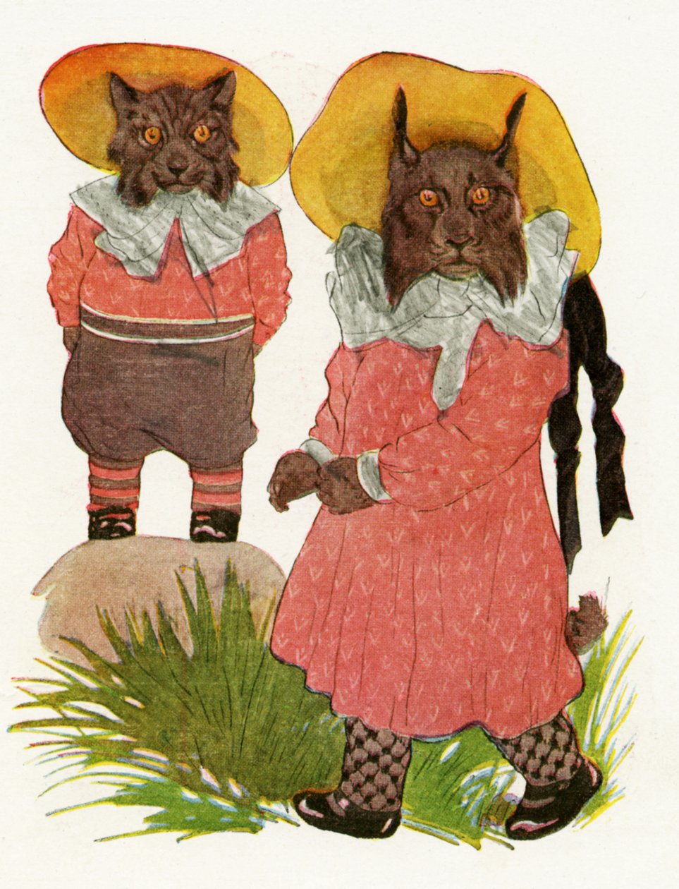 Bobcat a kanadský rys, 1913 od Martin Ross