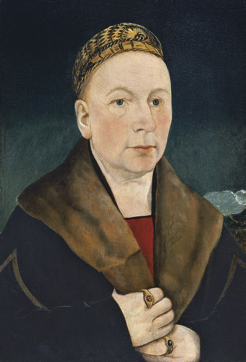 Portrét muže od Martin Schaffner