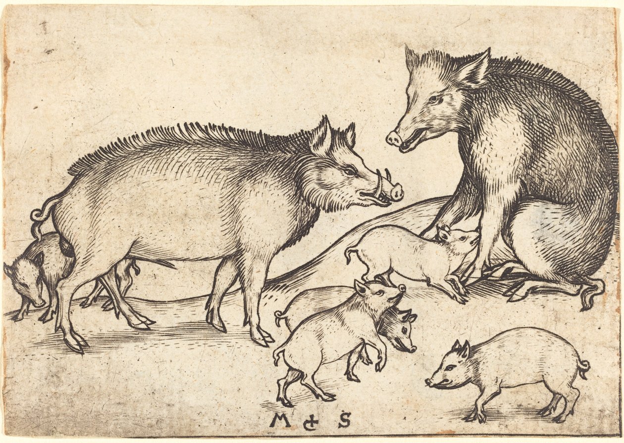 Rodina vepřů od Martin Schongauer