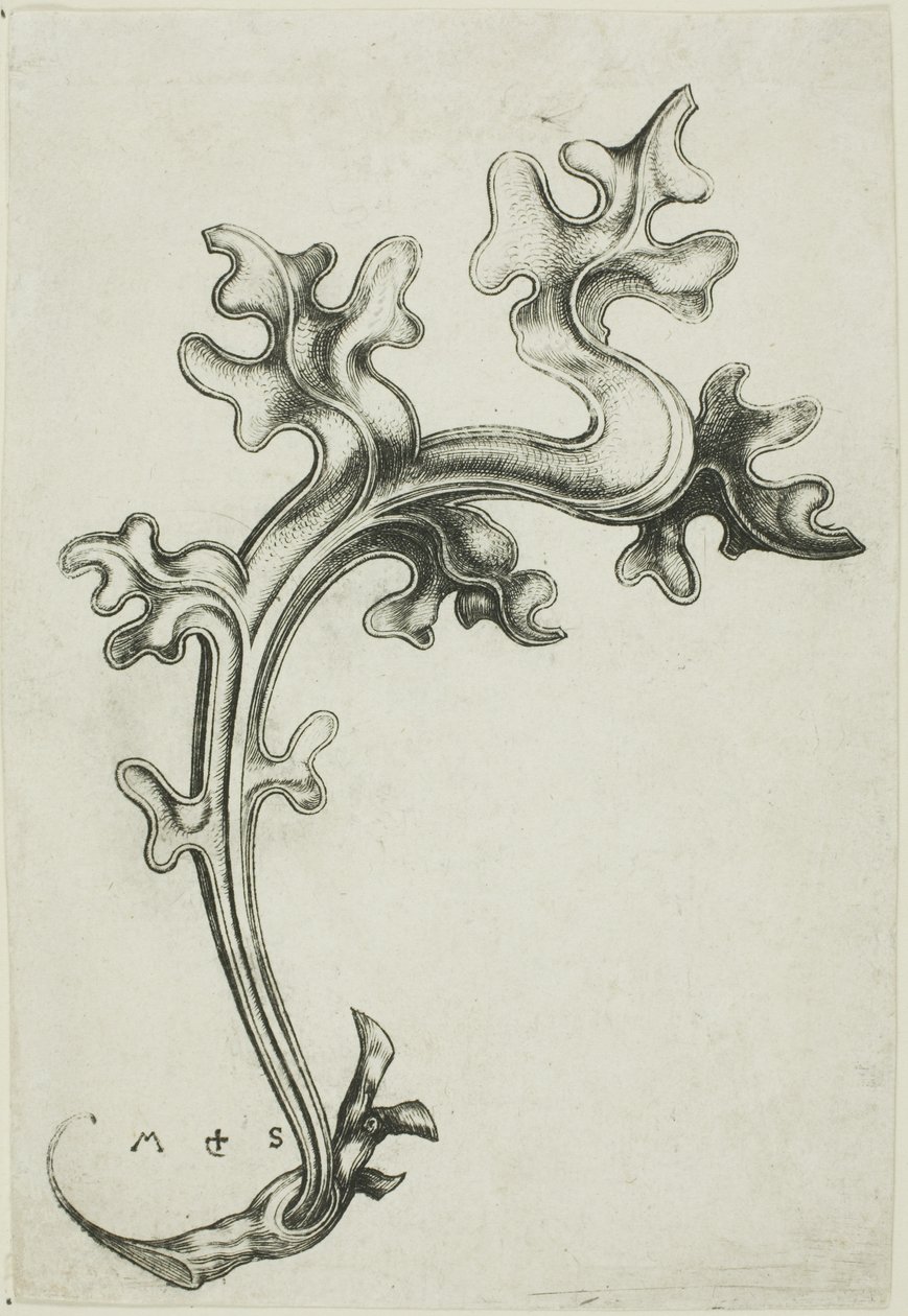 Ozdoba z listů od Martin Schongauer