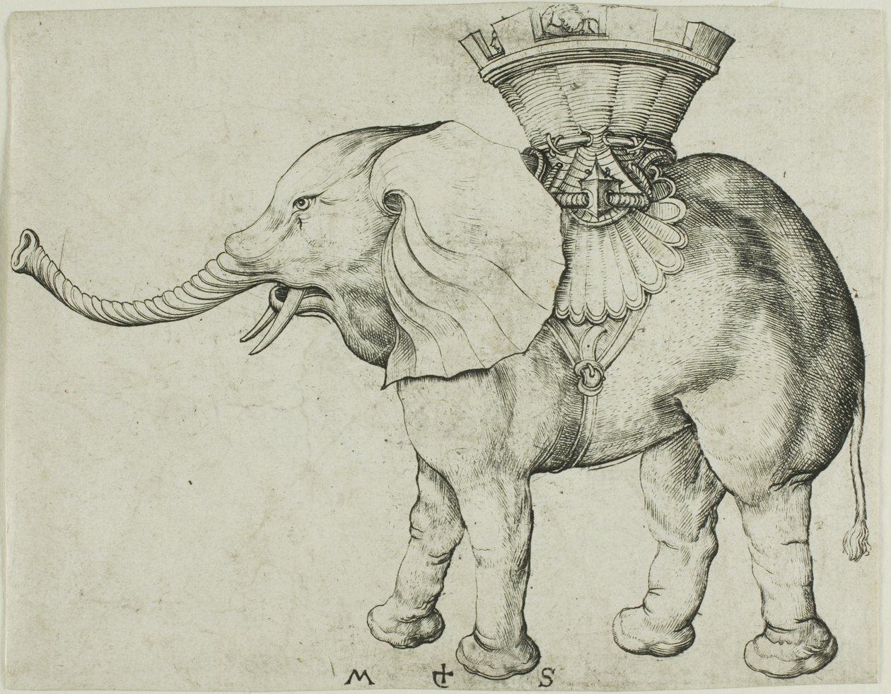 Slon od Martin Schongauer