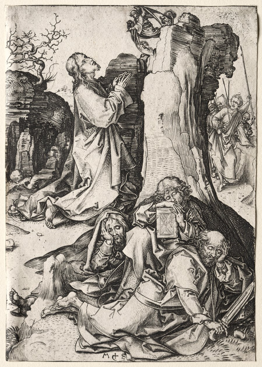 Vášeň: Agónie v zahradě od Martin Schongauer