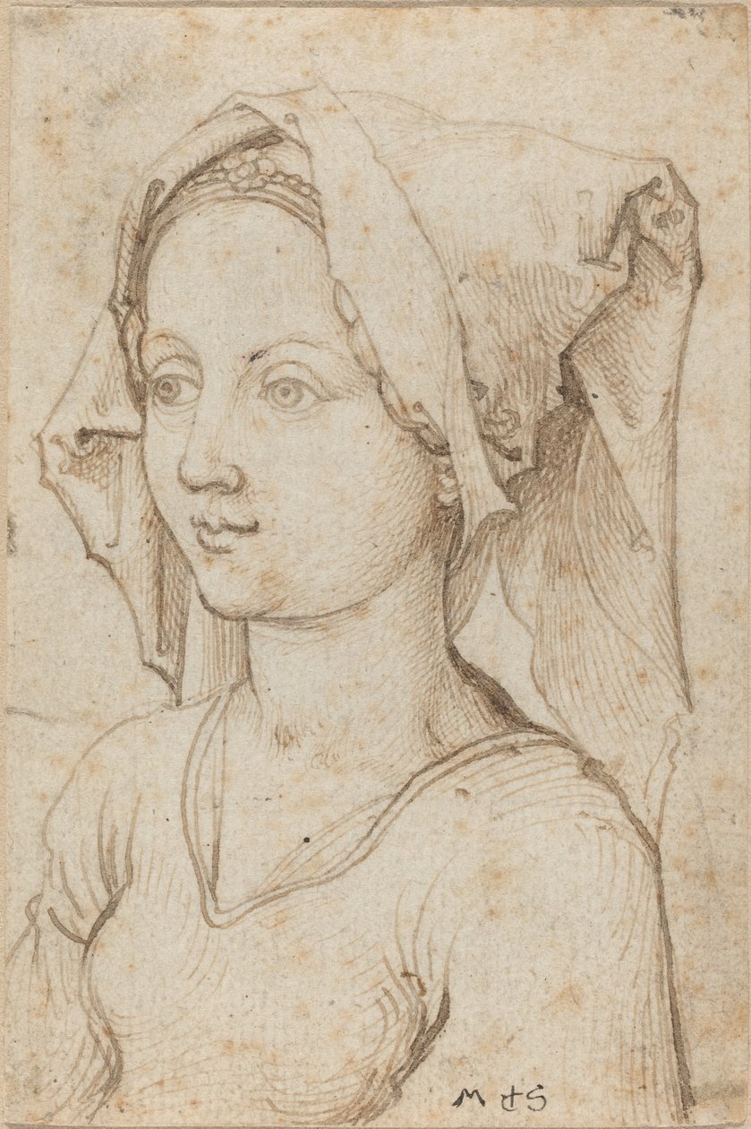 Mladá žena v šátku od Martin Schongauer