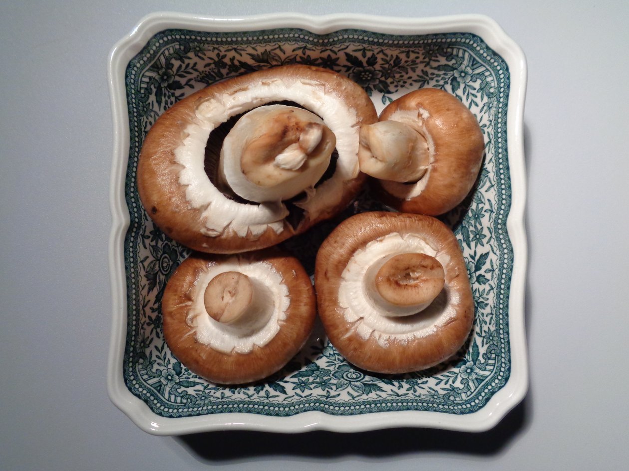 Porcelán Villeroy and Boch s houbami od Martina Konitzky