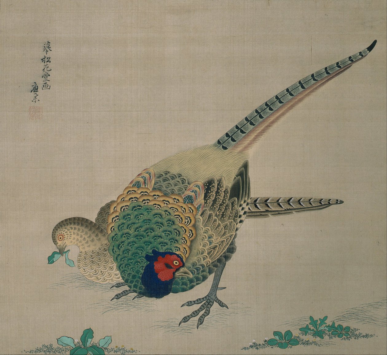 Hanging Scroll (pár bažantů) od Maruyama Okyo