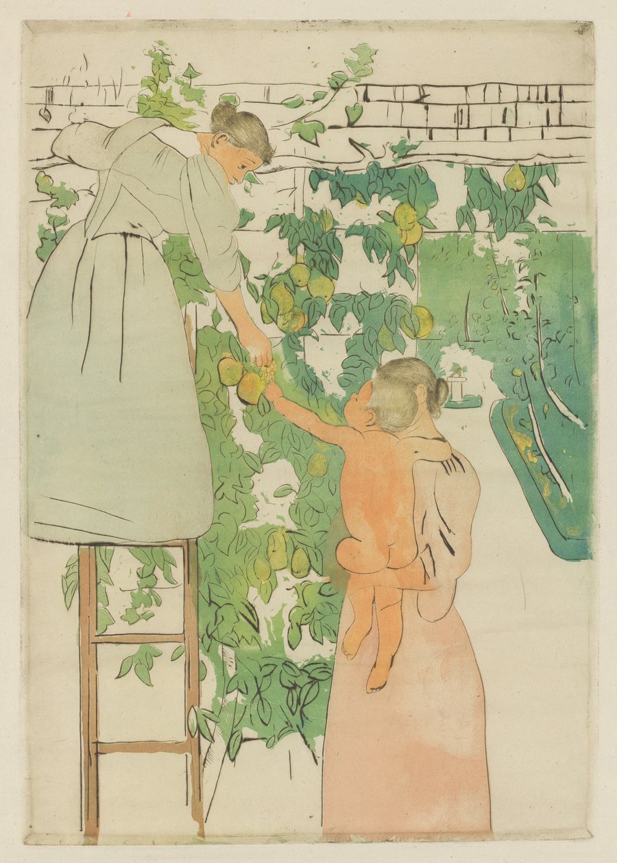 Sběr ovoce od Mary Cassatt