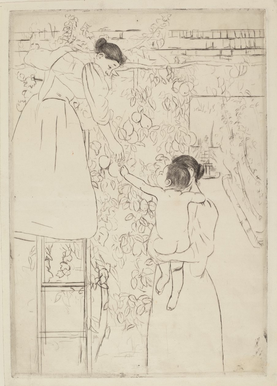 Sběr ovoce od Mary Cassatt
