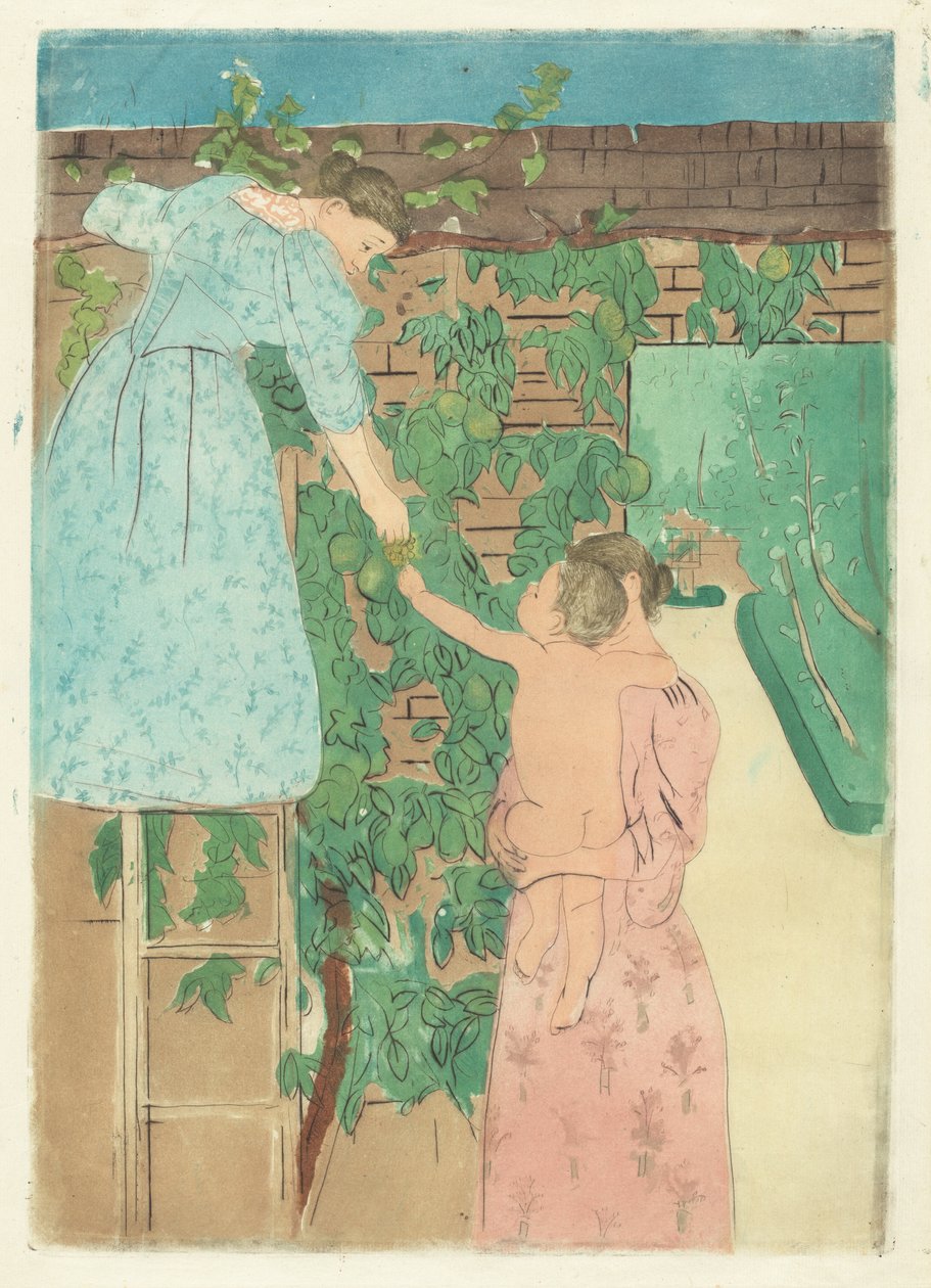 Sběr ovoce, c. 1893. od Mary Cassatt