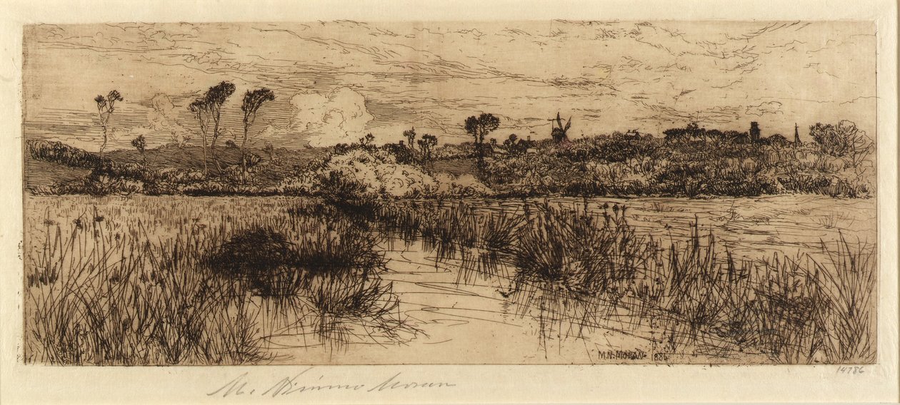 Domov pižmoňů od Mary Nimmo Moran