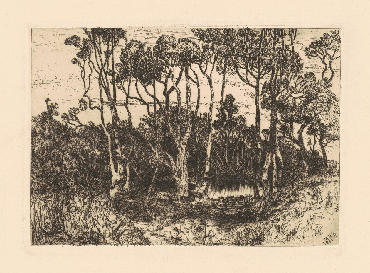 Samota od Mary Nimmo Moran